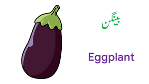 vegetable names in english and urdu