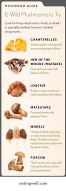 In France Mushroom Foraging Can Get You Killed In More Ways