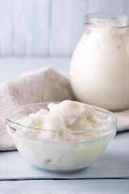 homemade greek yogurt creamy high in