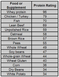 Bioavailability Chart Protein Bioavailability And Digestibility