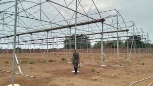 poly green house construction services