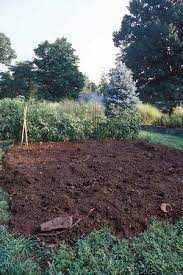 Garden Soil Mother Earth