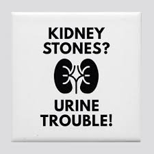 This kidney stone humor shirt says i'm a kidney stoner. Kidney Stone Humor Coasters Cafepress