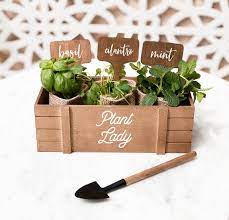 Plant Mom Gift Ideas For Mom Plant Lady