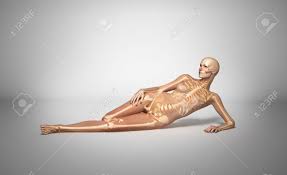 X Ray Looking, Naked Woman, Laying Down On Floor, With Bone Skeleton  Superimposed, On Neutral Background Stock Photo, Picture and Royalty Free  Image. Image 11713111.