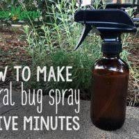 natural bug repellent recipes that work