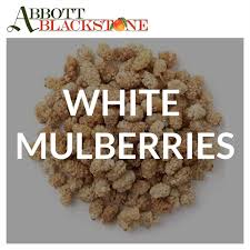 white mulberries bulk importer and