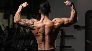 The 25 Best Back Exercises for Strength and Muscle Gain | BarBend