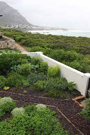 Creating A Coastal Garden Garden