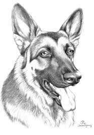 Gallery pages of dog breeds. German Shepherd Printable Coloring Pages