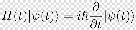 S Cat Quantum Mechanics Wave Equation