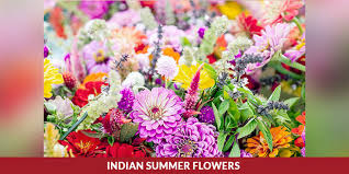 indian summer flowers summer season