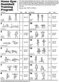 Dumbbell Training Two Dumbbells And A