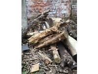 So, how do you decide where to store your wood? Firewood For Sale Freebies Free Stuff Gumtree