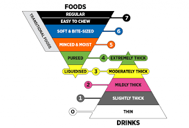 what are the ses of dysphagia ts