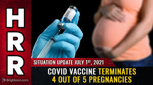 DEPOPULATION ALERT: Shocking new study reveals covid vaccine TERMINATES 4  out of 5 pregnancies via “spontaneous abortions” - Medicatrix