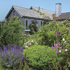 A Cottage Garden That S Not Chaotic