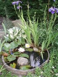 56 Awesome Mini Ponds To Complete Your