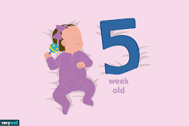 Your 5 Week Old Baby Development Milestones