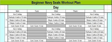 navy seal training program for