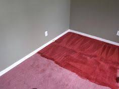 How To Dye Carpet Using Rit Dye And A Carpet Cleaner Such A