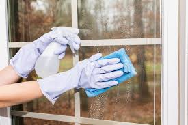 the best homemade window cleaner can be