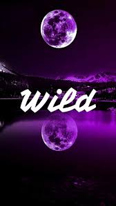 hd stay wild wallpapers peakpx