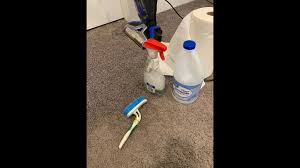 pet urine removal on carpet cleaning