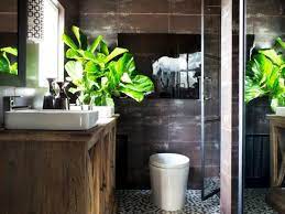 Plants To Grow In Your Bathroom