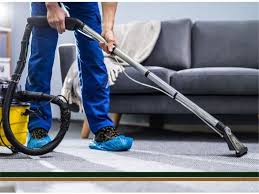 florida carpet cleaning businesses for