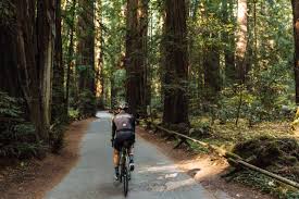 best cycling tours in north america