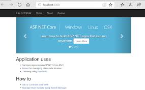 build asp net core mvc web application