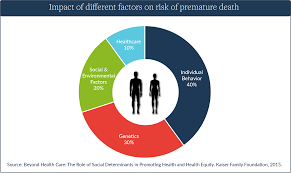 2 Healthcare Pie Chart Becca Social No Logo Christensen