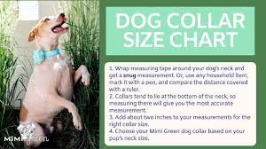 dog collar size chart mering