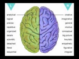 Right Brain Vs Left Brain Functions Owlcation