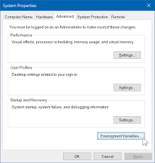 how to change environment variables on