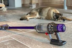 dyson vacuum smells like dog cause and
