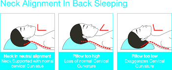 Focusing on spinal alignment and personal comfort should be a priority when addressing headache pain and the issues that may create underlying discomforts surrounding this. Best Pillow For Neck Pain Auckland Health And Performance