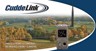 These are set up around game trails, feeders ect to capture pics of animals(bigfoots) coming people with cell phones(with cameras inside) can send photos to people right? Cuddeback Scouting Cameras Cuddelink