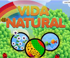 Aqui encontraras todos los juegos de discovery kids gratis. Vida Natural Juego Interactivo De Discovery Kids Agua Org Mx