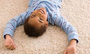 alamo carpet cleaning and restoration