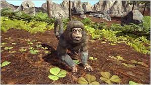 We tossed our little monkey friend into an enemy structure with no ceiling and he just stood there. Ark Mesopithecus Guide Abilities Taming Food Saddle Breeding Drops Location Progametalk