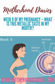 9 weeks pregnant metallic taste in
