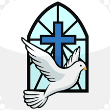 White dove art, St. Anns Catholic Church Confirmation in the Catholic  Church Symbol, Mo s, bird, confirmation png | PNGEgg