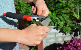 clean sharpen essential garden tools