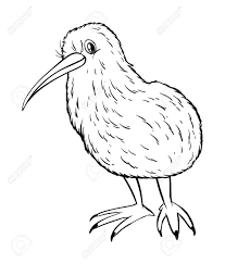 Animal Outline For Kiwi Bird Illustration