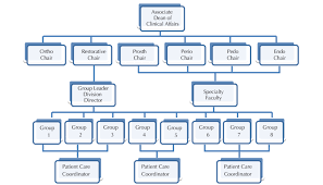 Organizational Chart For Comprehensive Care Model For