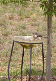There is nothing like having birds and bees in your garden, so give them a reason to be there. Bird Bath Wikipedia