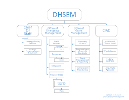 Dhsem Organization Chart Division Of Homeland Security And