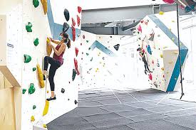 The Bouldering Hive Is Back Experience